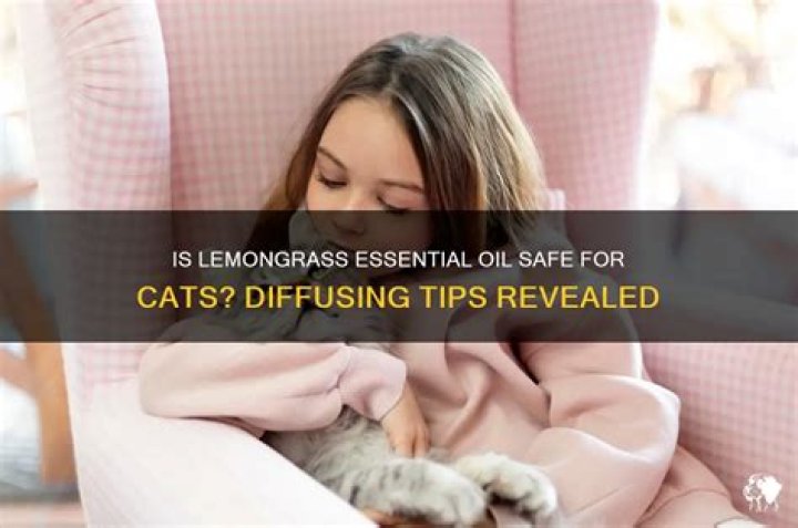 Can I diffuse lemon around my cat?