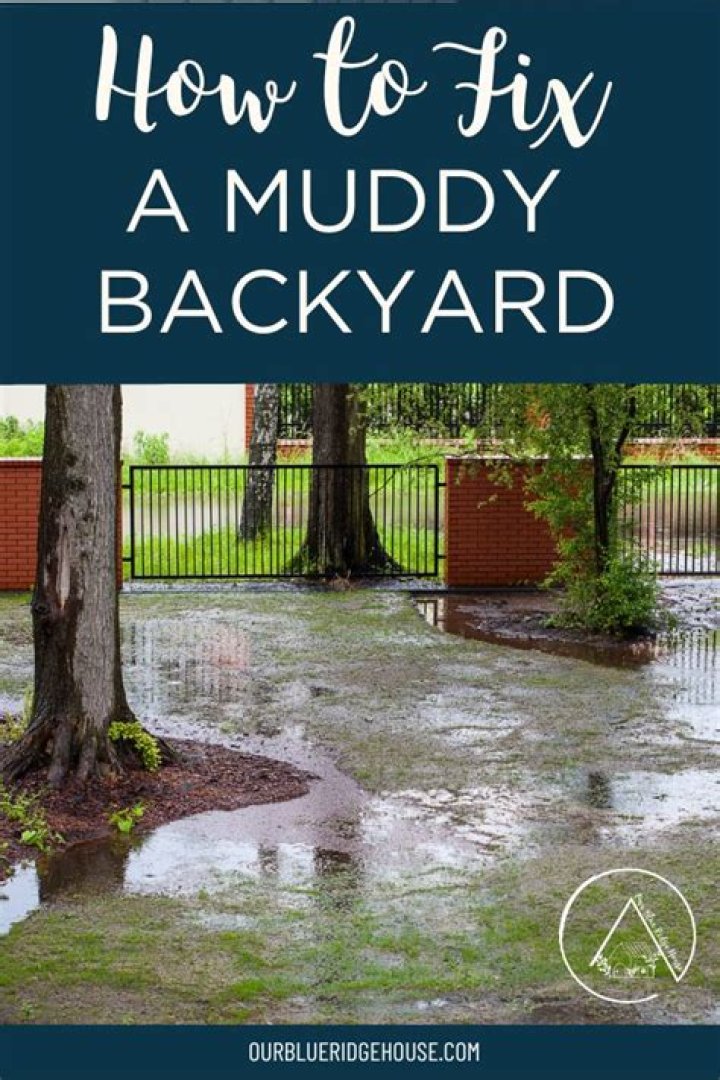 How do you add lime to a muddy yard?