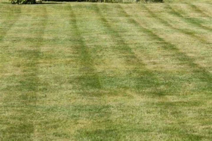 Should I cut grass before a storm?