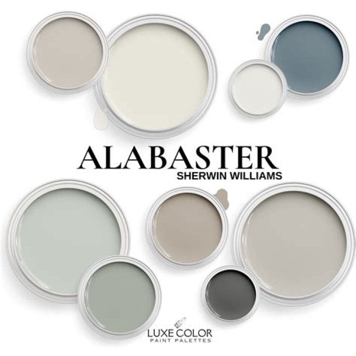 What are the undertones of Alabaster?
