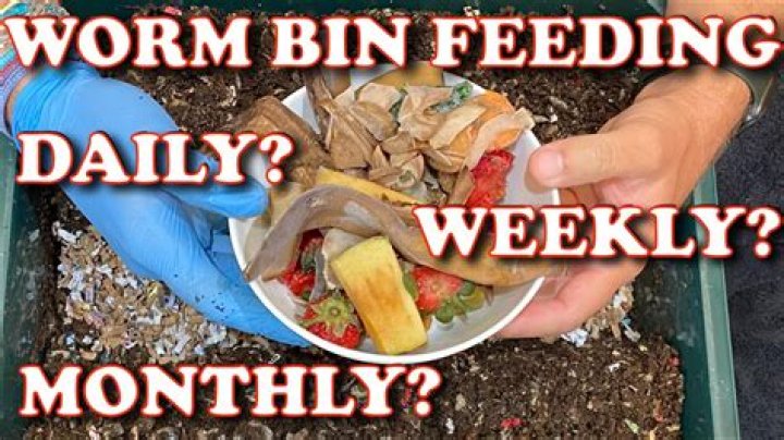 What happens if you overfeed worms?