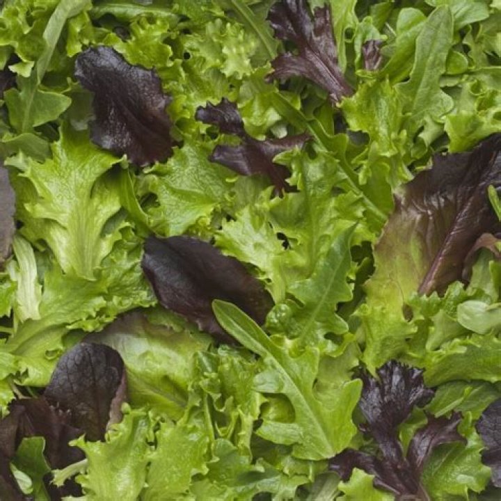 Which salad mix is healthiest?