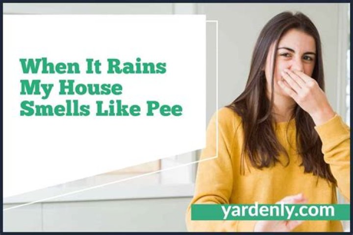 Why do old houses smell like pee?